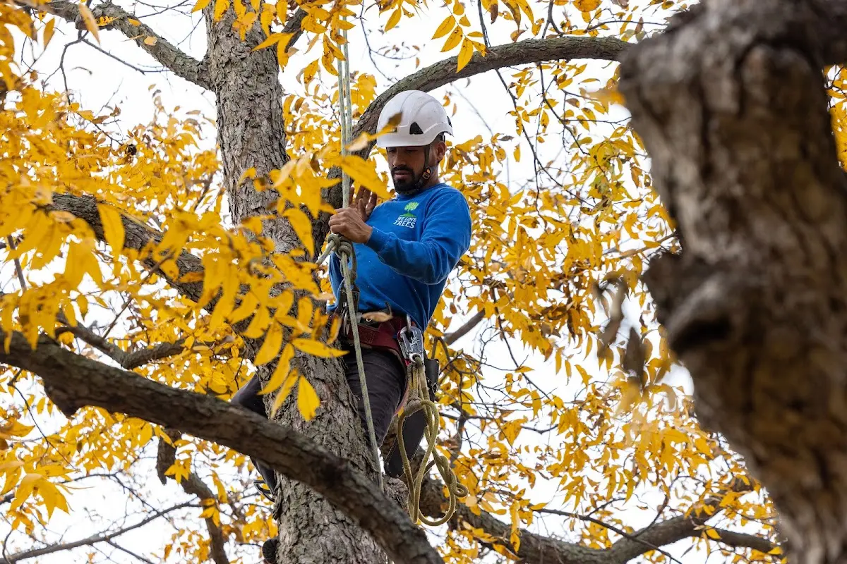 Skilled Storm Damage Cleanup crew working in Thompsonville